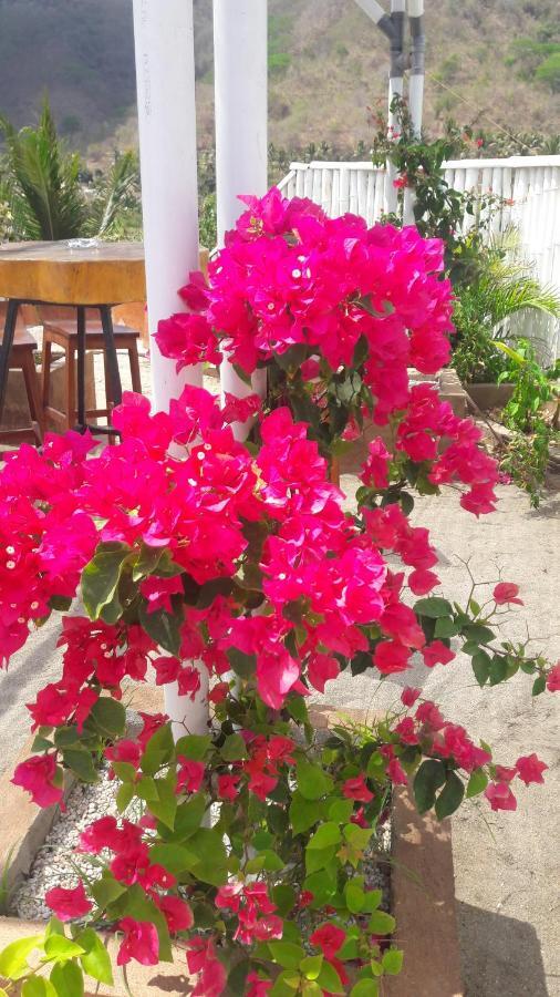 Silver Fern Beach Retreat Секотонг Екстериор снимка